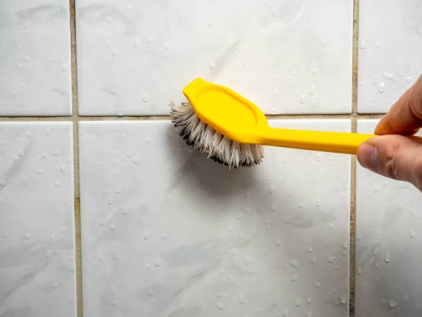 Best Certified Mold Removal  in Ferguson, MO