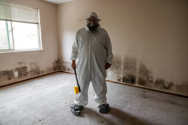 Best Residential Mold Removal  in Ferguson, MO