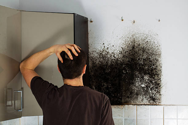 Best Water Damage Restoration  in Ferguson, MO
